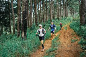 BIB: 
                            <button type="button" onclick="openModal(25661558)" class="btn btn-primary btn-sm float-right btn-popup" data-toggle="modal" data-target=".modal-high-quality">
                        <i class="fas fa-shopping-cart"></i> Add to Cart
                    </button>
                                            <button type="button" onclick="isThisMe(25661558, true)" class="btn btn-success btn-sm float-right btn-popup btn-isme hidden" data-toggle="tooltip" data-placement="bottom" title="นี่คือรูปของคุณใช่ไหม คลิกที่นี่เพื่อเอาเข้าอัลบั้ม">
                        <i class="fas fa-plus"></i> Add to album
                    </button>
                    <button type="button" onclick="isThisMe(25661558, false)" class="btn btn-warning btn-sm float-right btn-popup btn-isnotme hidden">
                        <i class="fas fa-ban"></i> Remove from album
                    </button>